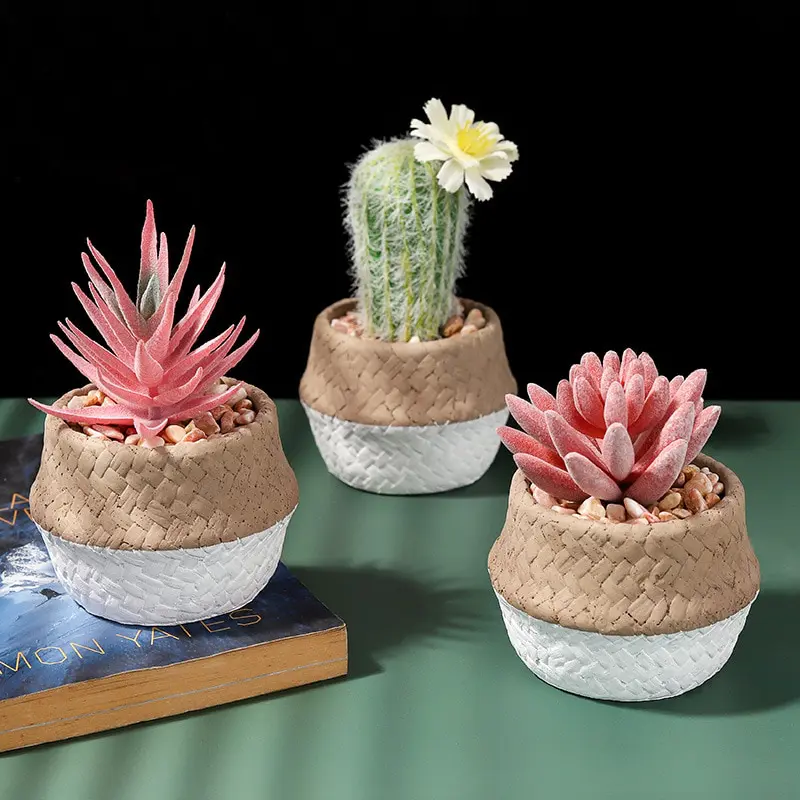 Kaktus w stylowej doniczce