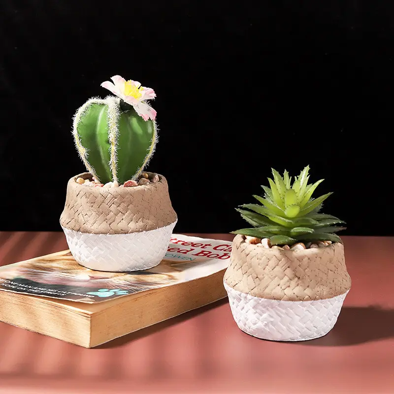 Kaktus w stylowej doniczce